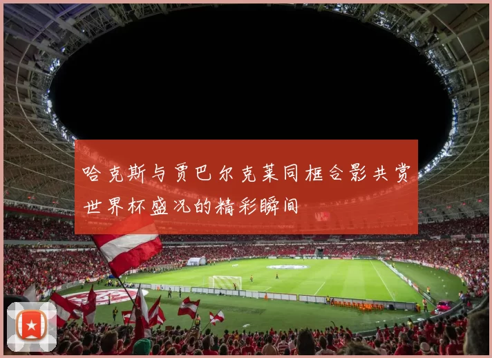 哈克斯与贾巴尔克莱同框合影共赏世界杯盛况的精彩瞬间